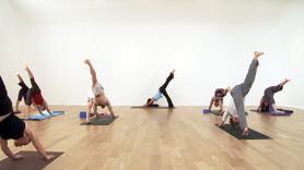 Sun Salutation Series