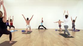 Sun Salutation Series