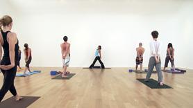 Sun Salutation Series