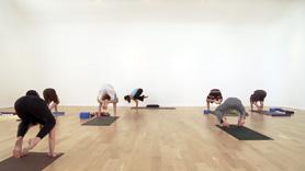 Sun Salutation Series
